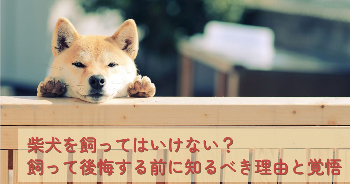 柴犬を飼ってはいけない？飼って後悔する前に知るべき理由と覚悟