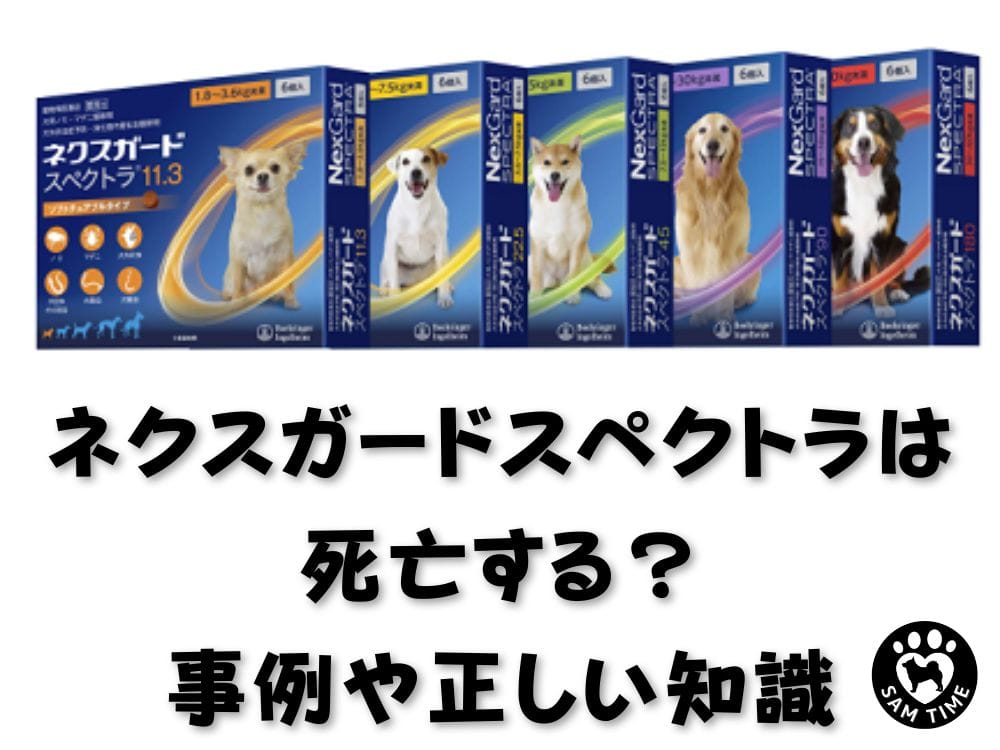 ネクスガードスペクトラは死亡する？事例や正しい知識