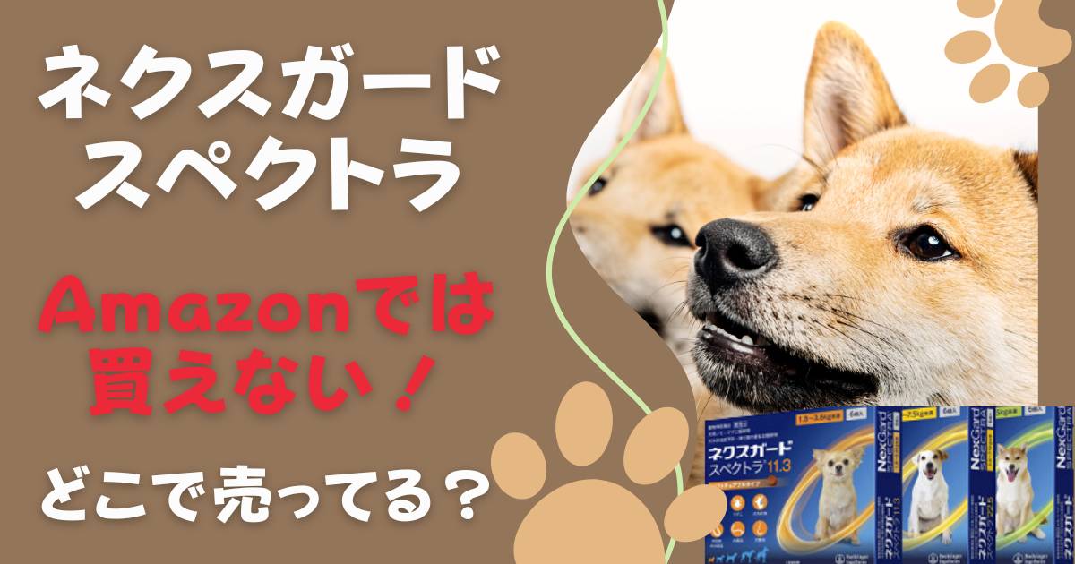 ネクスガードスペクトラはAmazonで買えない！どこで売ってる？